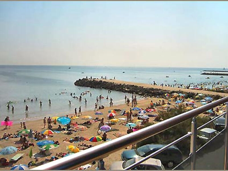 Sunny Bay