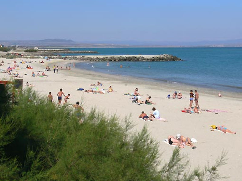 Sunny Bay