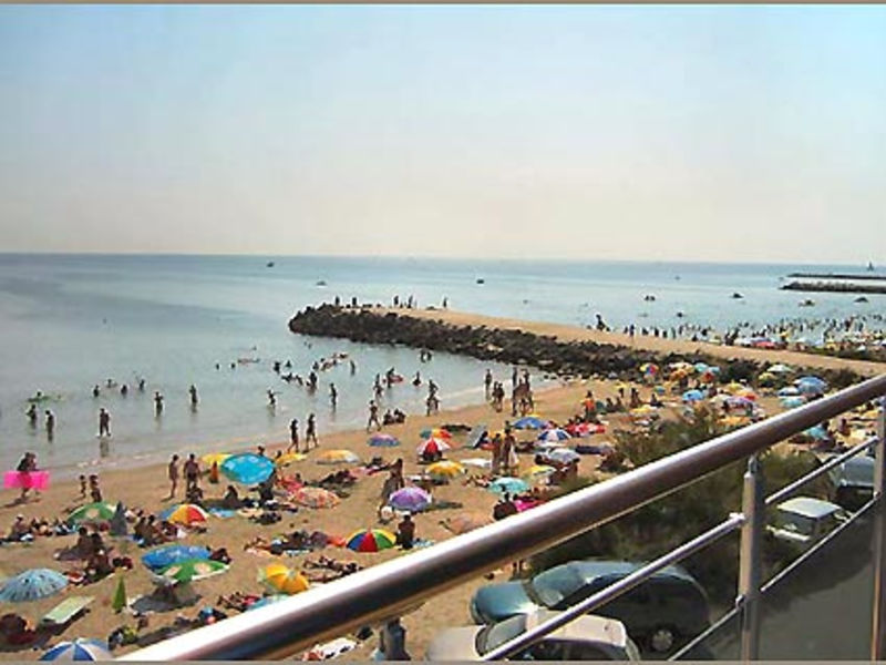 Sunny Bay