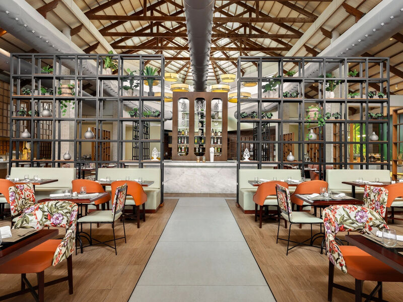 Sunscape Coco Punta Cana