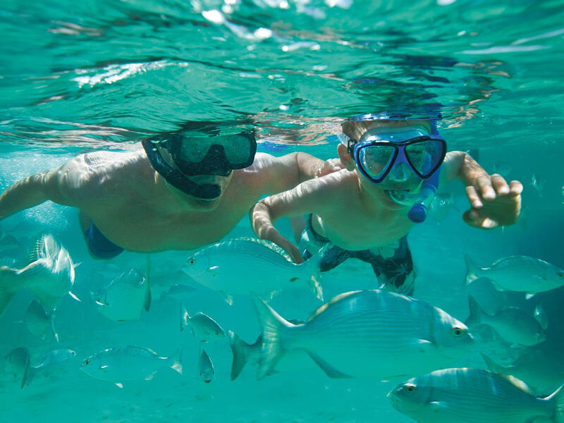 Sunscape Sabor Cozumel