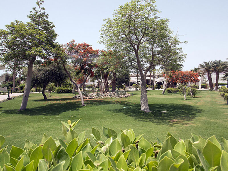 Swiss Inn Resort Dahab