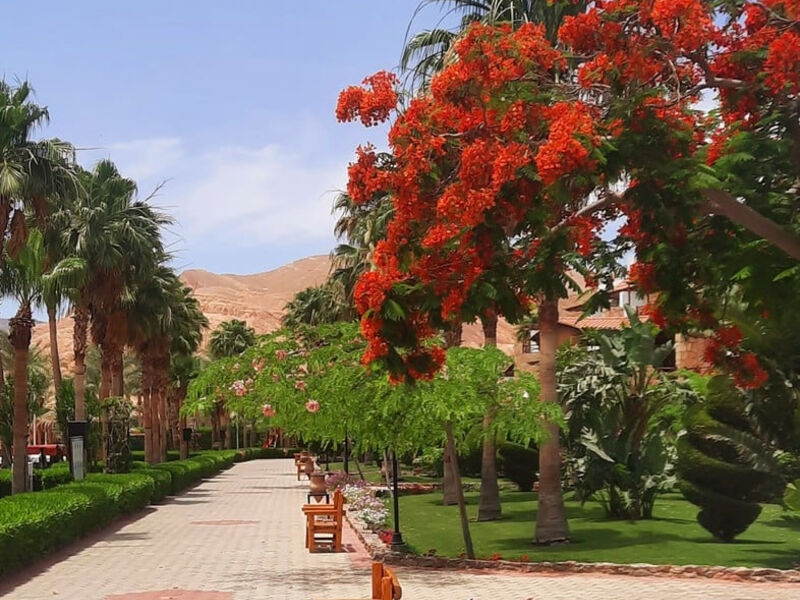 Taba Hotel & Nelson Village