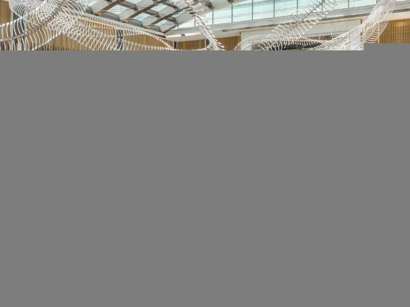 Taj Exotica Resort & Spa, The Palm, Dubai