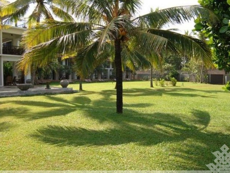 Taprospa Footprints