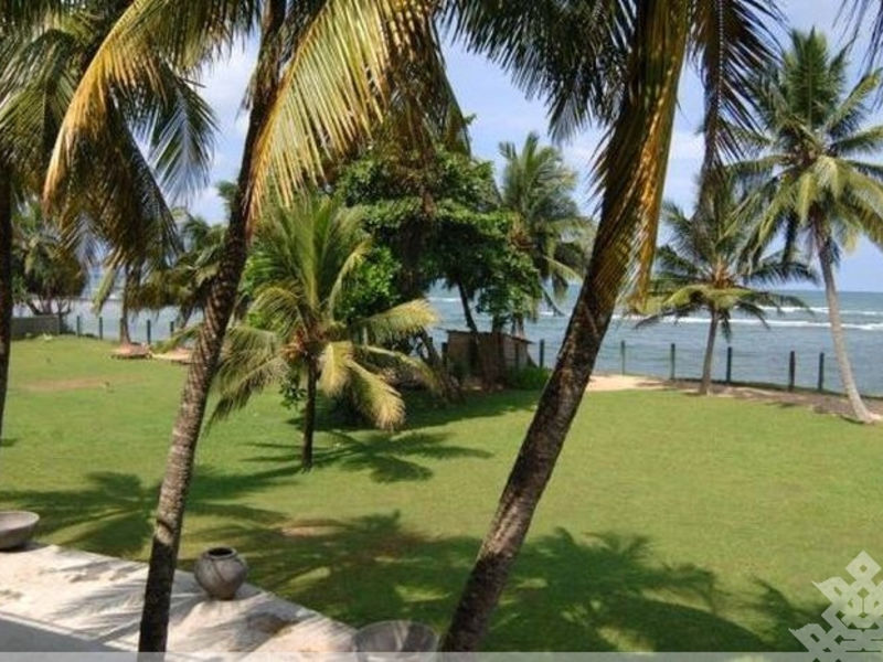 Taprospa Footprints