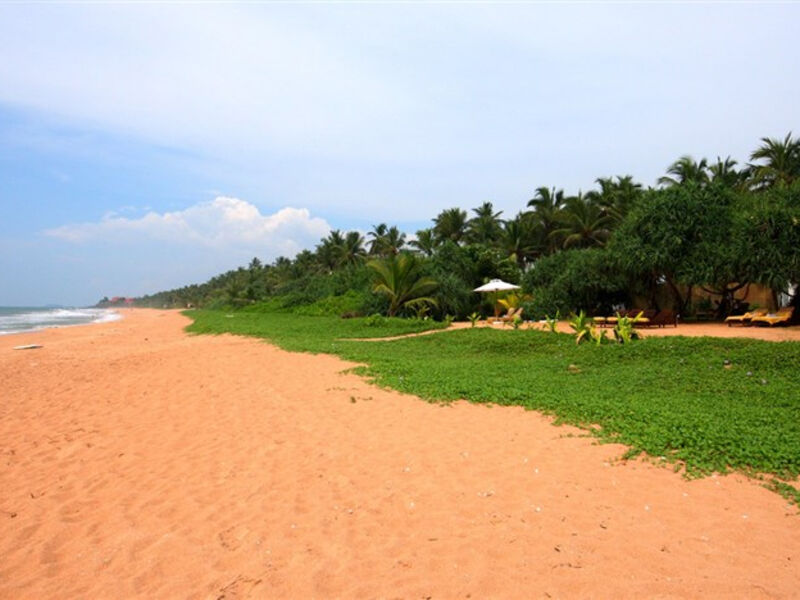 Temple Tree Resort & Spa