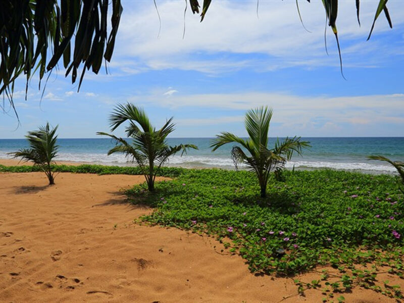 Temple Tree Resort & Spa