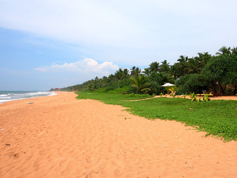 Temple Tree Resort & Spa