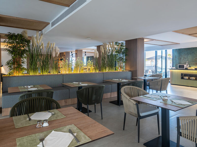 Thb Bamboo Alcudia