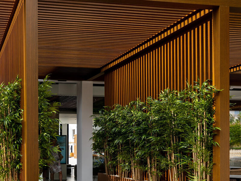 Thb Bamboo Alcudia