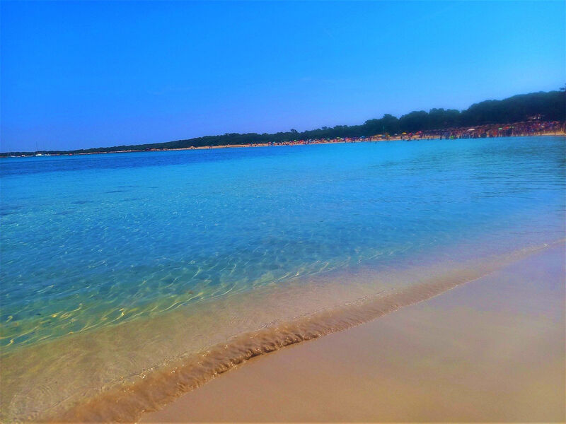 THB Sur Mallorca