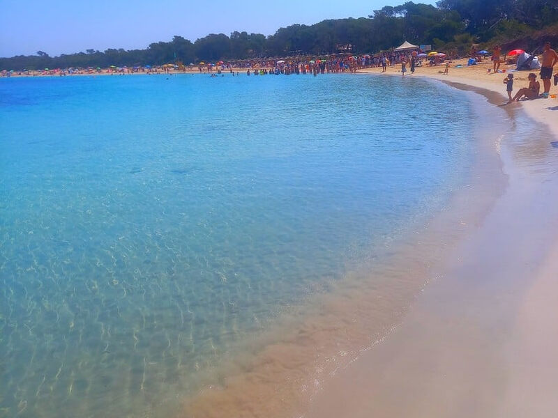 THB Sur Mallorca