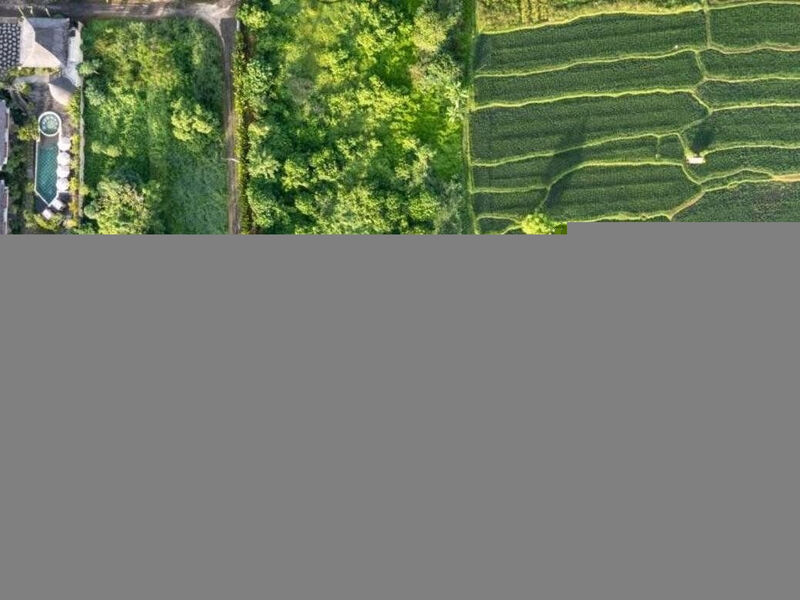 The Alena Resort by Pramana