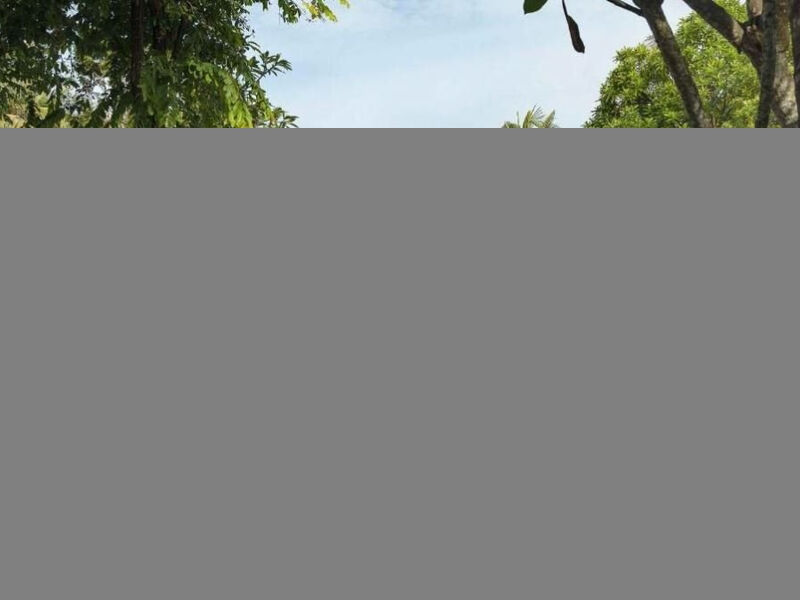 The Anvaya Beach Resorts Bali