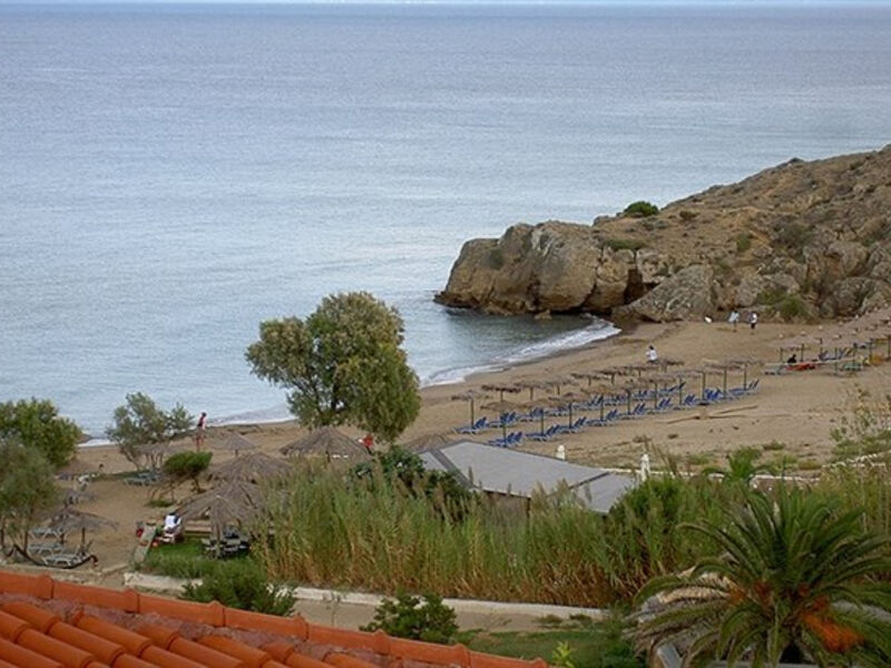 The Bay