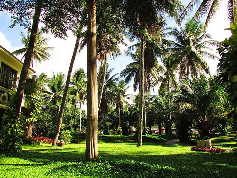 The Beach Resort