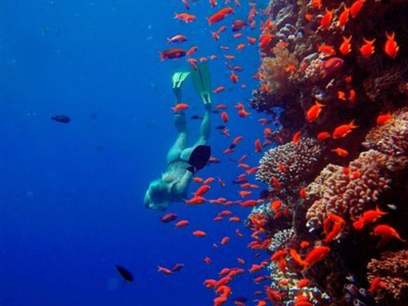 The Breakers Diving