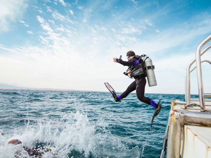 The Breakers Diving