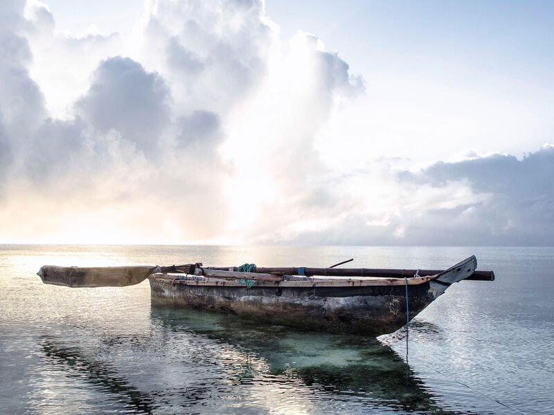 The Island Pongwe Lodge