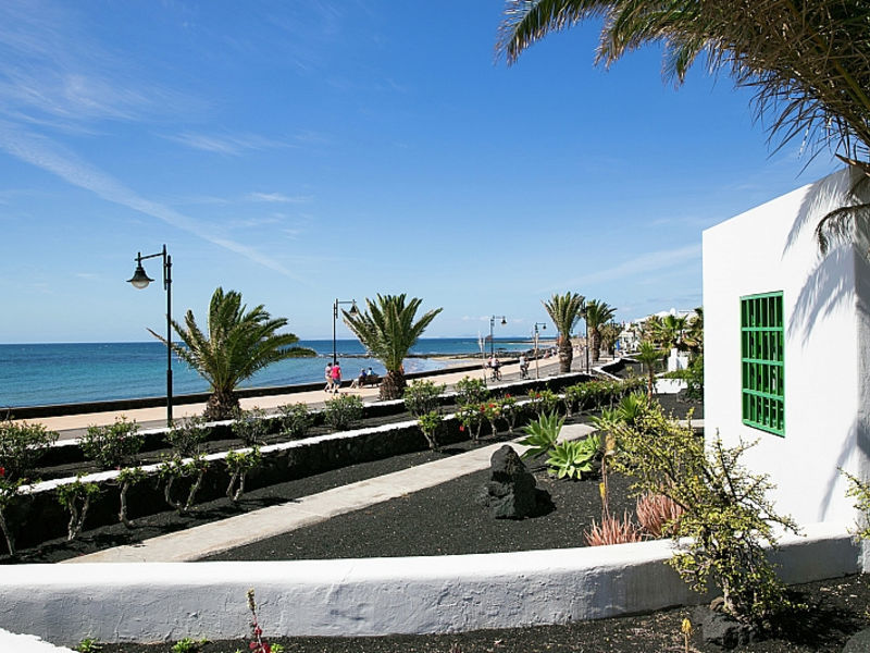 The Las Gaviotas