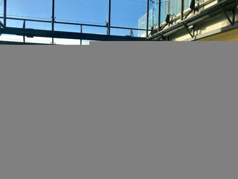 The Lince Azores Great