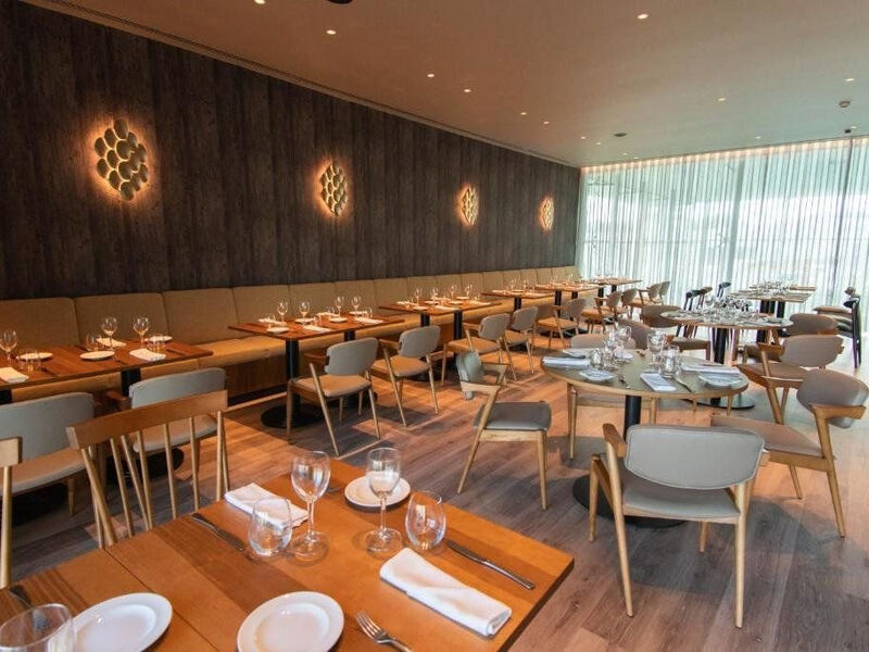 The Lince Azores Great