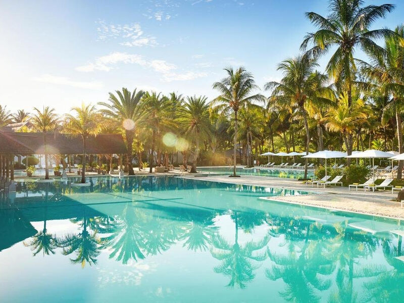 The Ravenala Attitude