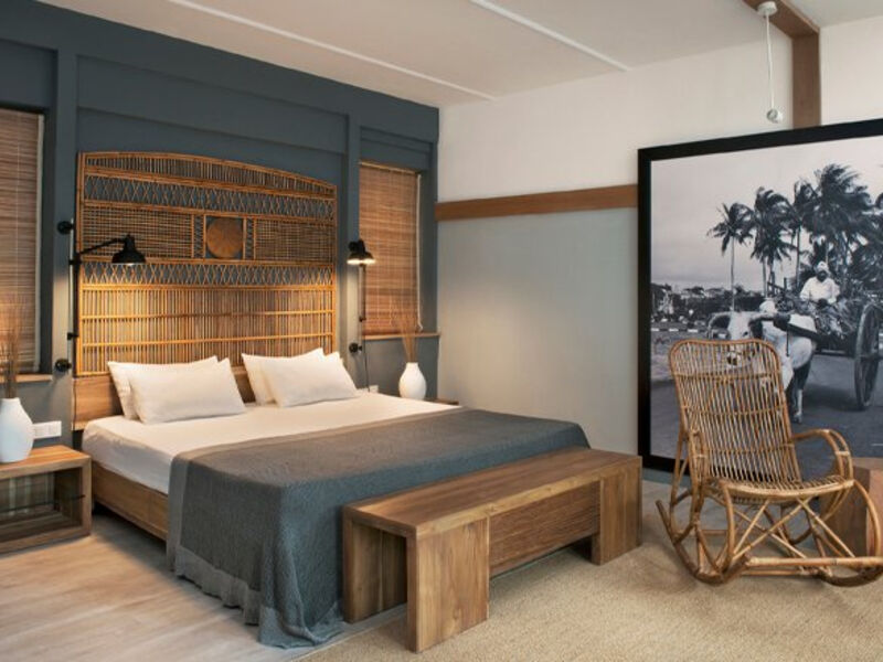 The Ravenala Attitude