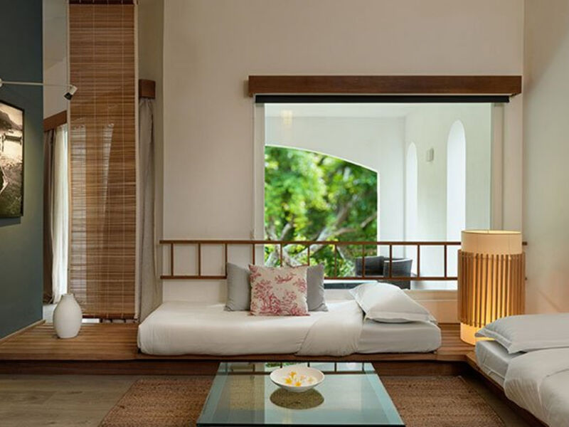 The Ravenala Attitude