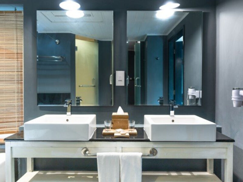 The Ravenala Attitude