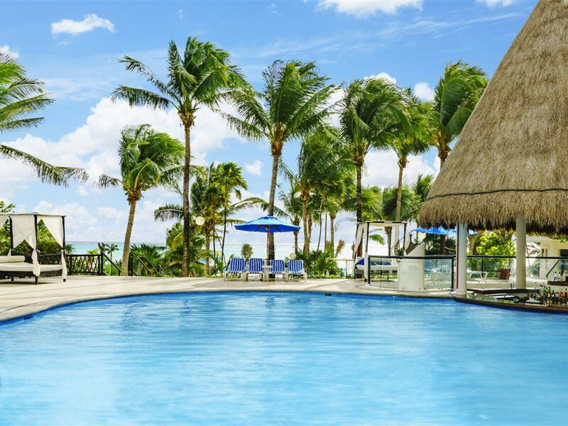 The Reef Playacar
