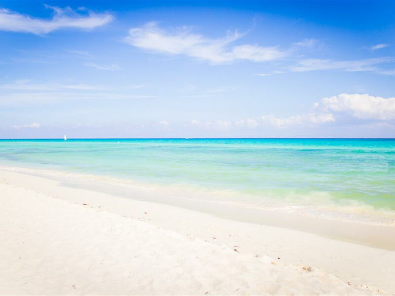 The Reef Playacar