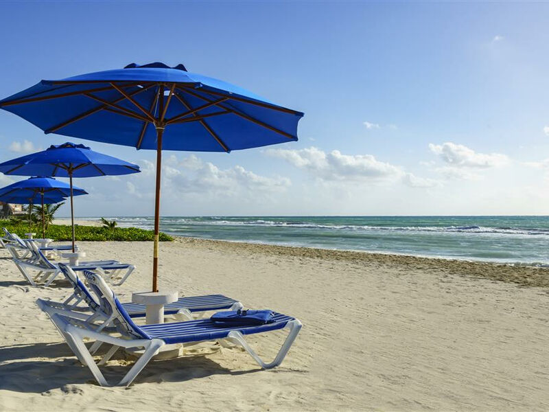 The Reef Playacar