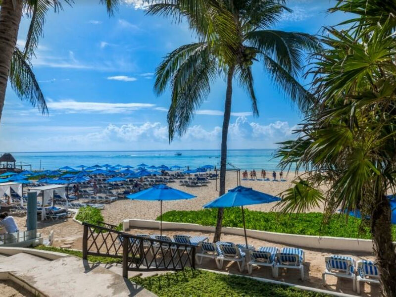 The Reef Playacar