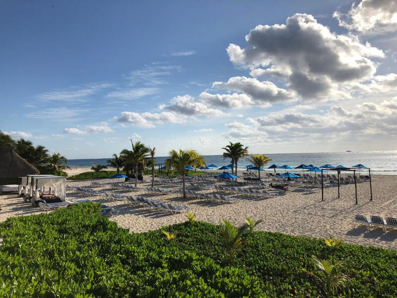 The Reef Playacar