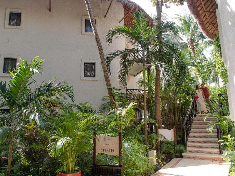 The Reef Playacar