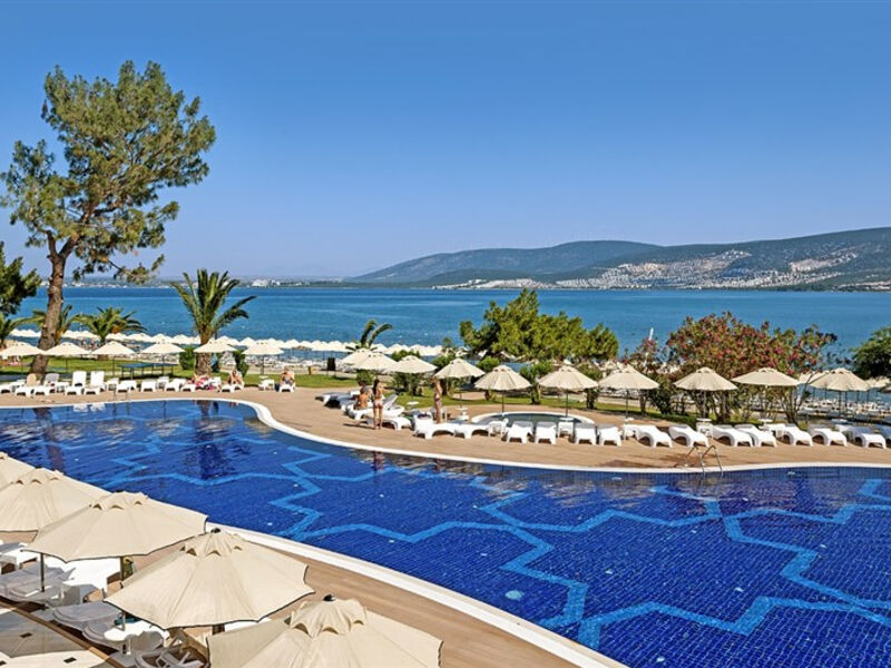 The Roxy Luxury Nature
