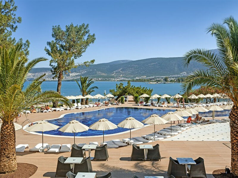The Roxy Luxury Nature