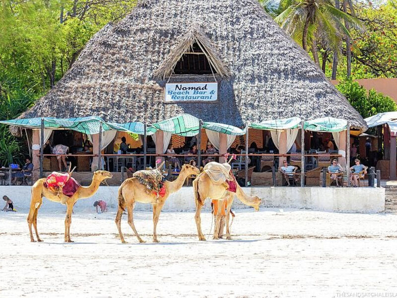 The Sands At Nomad