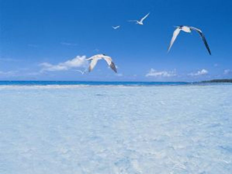 Tikehau Pearl Beach Resort