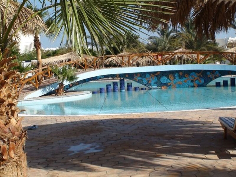Time Coral Nuweiba