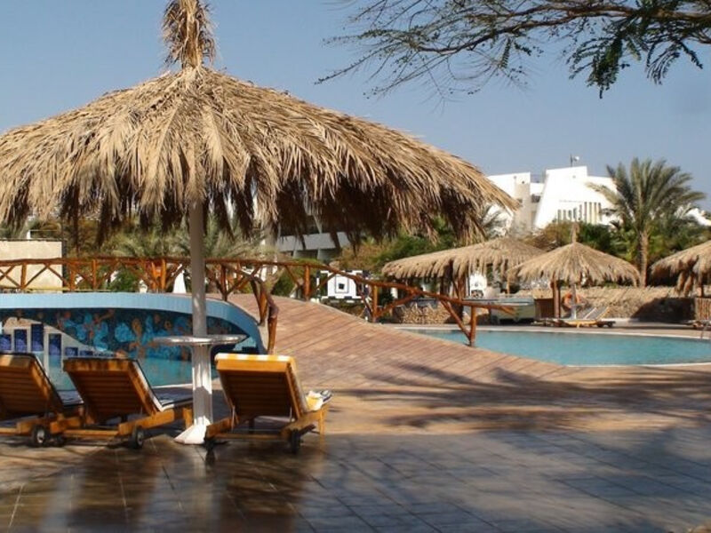 Time Coral Nuweiba