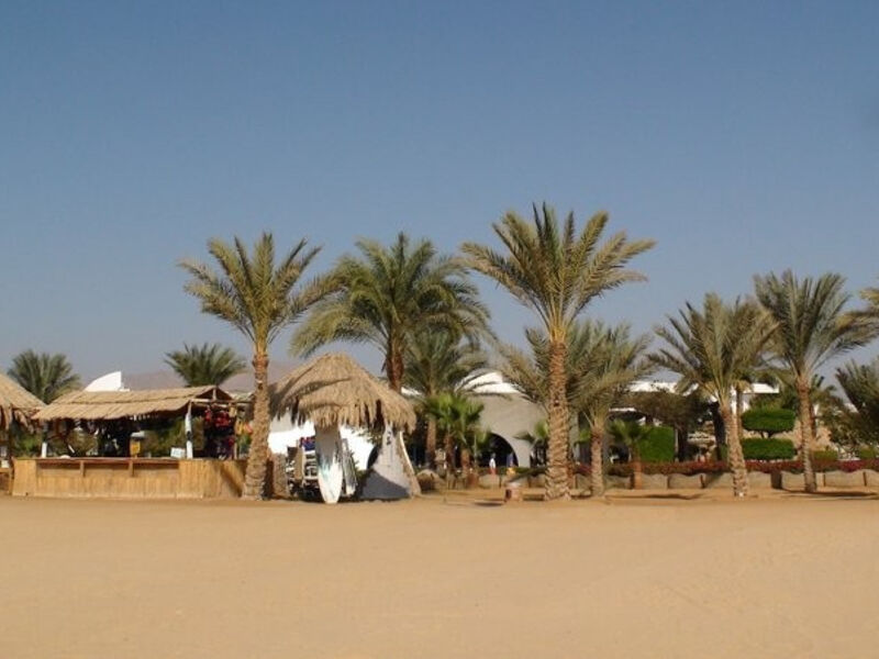 Time Coral Nuweiba