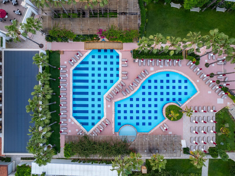 Trendy Palm Beach