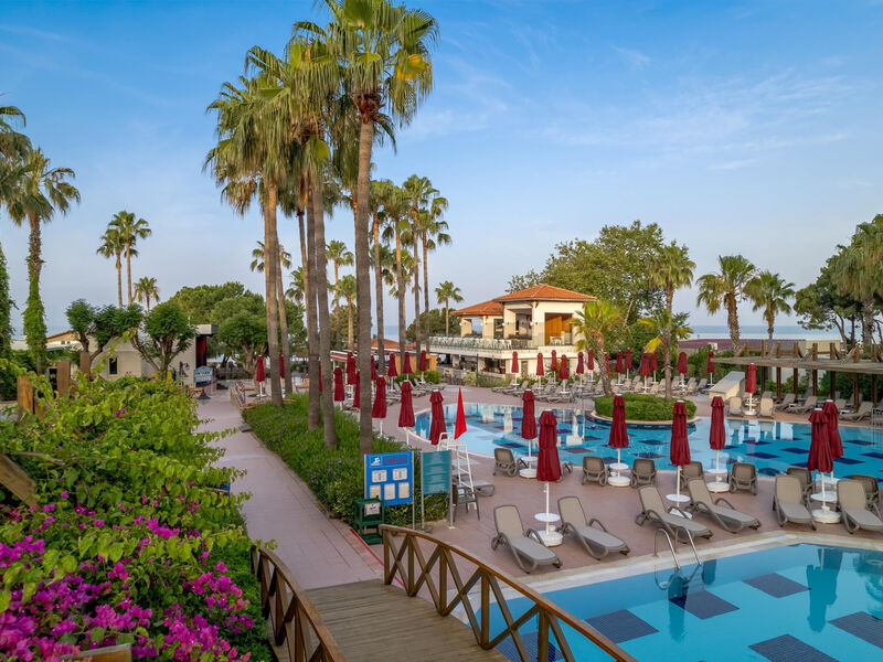 Trendy Palm Beach
