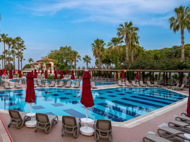 Trendy Palm Beach