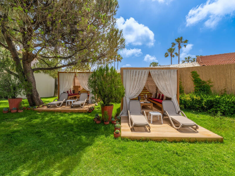 Trendy Palm Beach