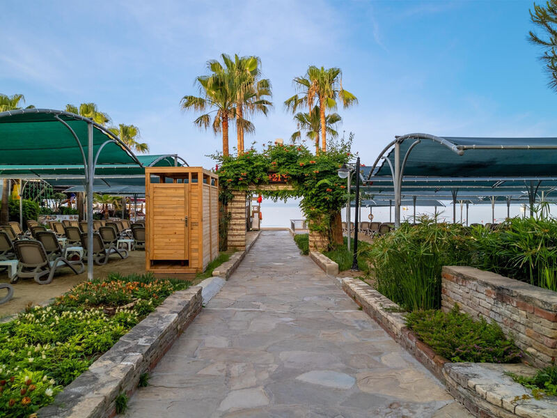 Trendy Palm Beach