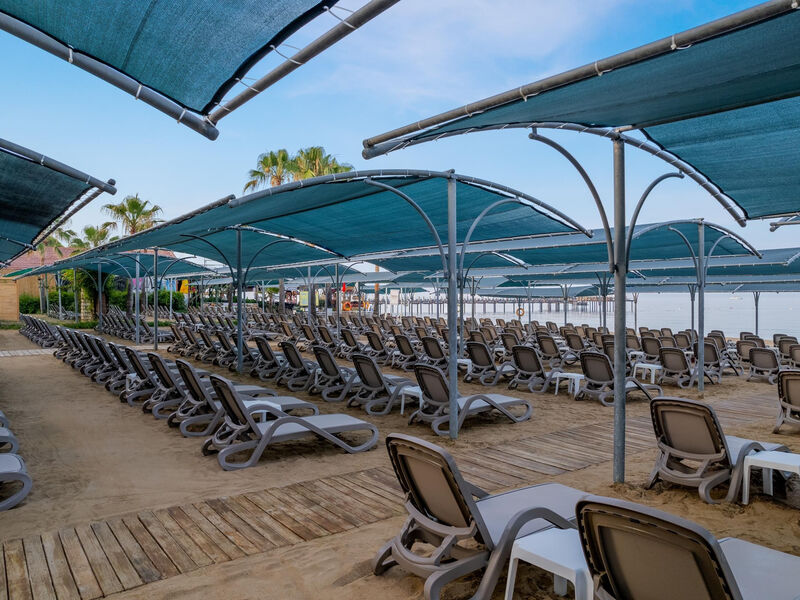 Trendy Palm Beach